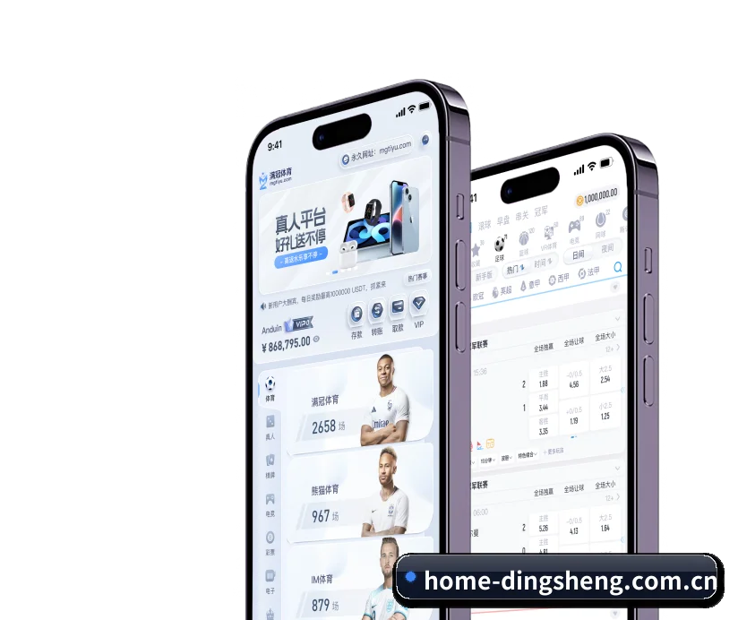 鼎盛娱乐 APP 界面