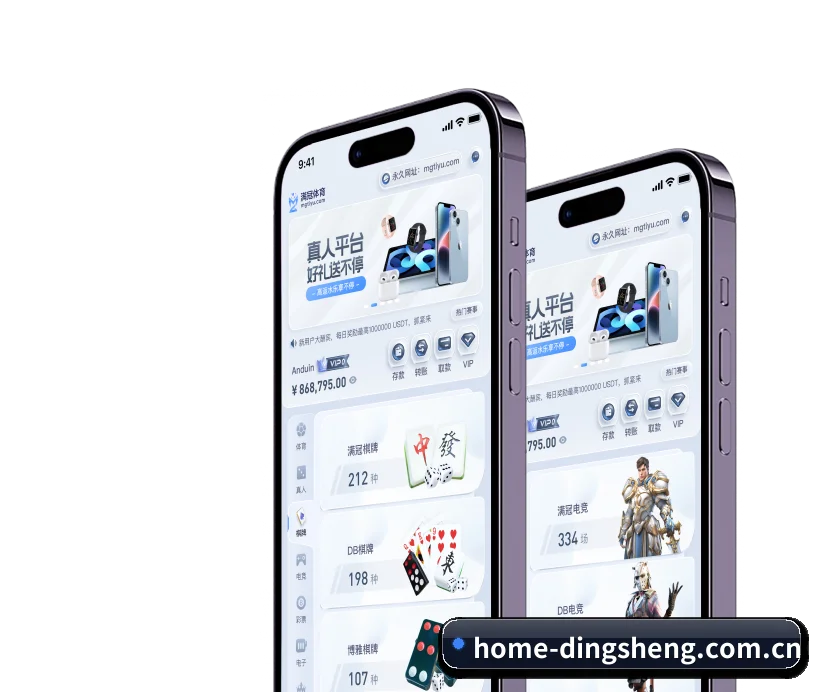 品牌创立 - 奠基之年,鼎盛娱乐斩获多项国际行业合规认证,高起点迈入市场。